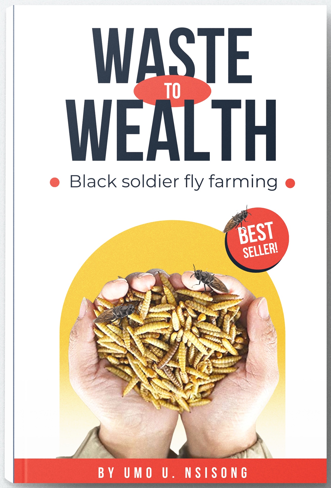 Black Soldier Fly Farming